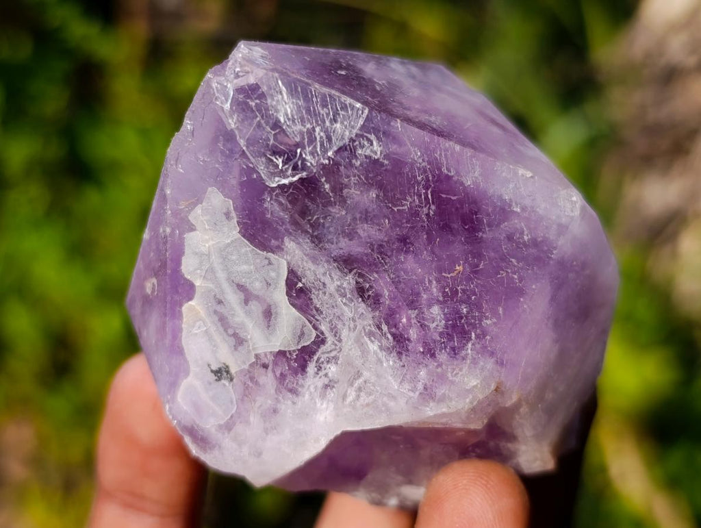 Natural Jacaranda Amethyst Single Crystals x 12 From Mumbwa, Zambia - Toprock Gemstones and Minerals 