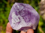 Natural Jacaranda Amethyst Single Crystals x 12 From Mumbwa, Zambia - Toprock Gemstones and Minerals 
