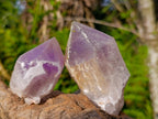 Natural Jacaranda Amethyst Single Crystals x 12 From Mumbwa, Zambia - Toprock Gemstones and Minerals 
