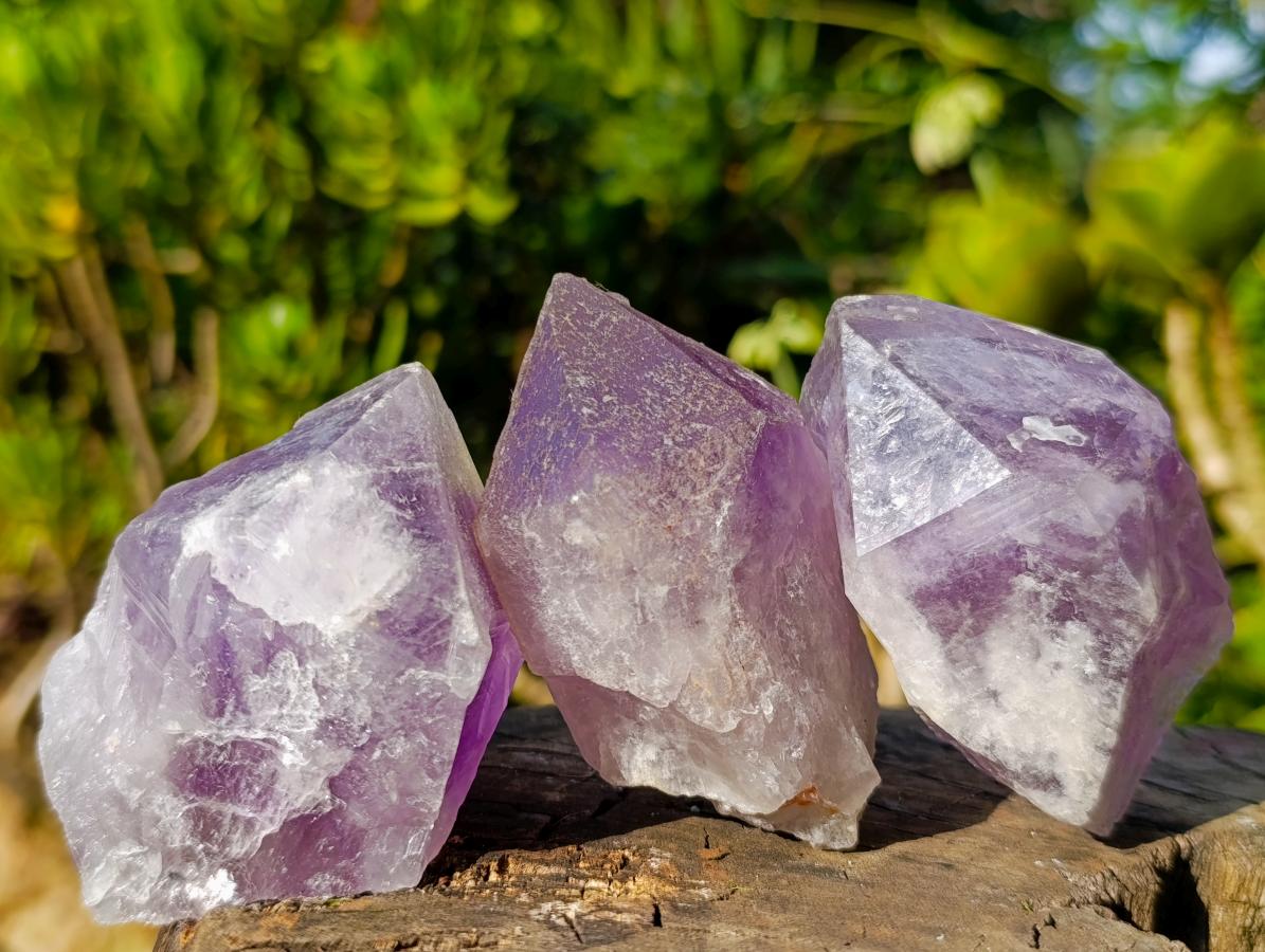 Natural Jacaranda Amethyst Single Crystals x 12 From Mumbwa, Zambia - Toprock Gemstones and Minerals 
