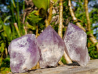 Natural Jacaranda Amethyst Single Crystals x 12 From Mumbwa, Zambia - Toprock Gemstones and Minerals 
