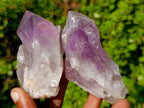 Natural Jacaranda Amethyst Single Crystals x 12 From Mumbwa, Zambia - Toprock Gemstones and Minerals 