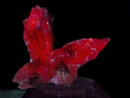 Natural Drusy Quartz Coated Spearhead Calcite Crystals x 35 From Albert's Mountain, Lesotho - Toprock Gemstones and Minerals 