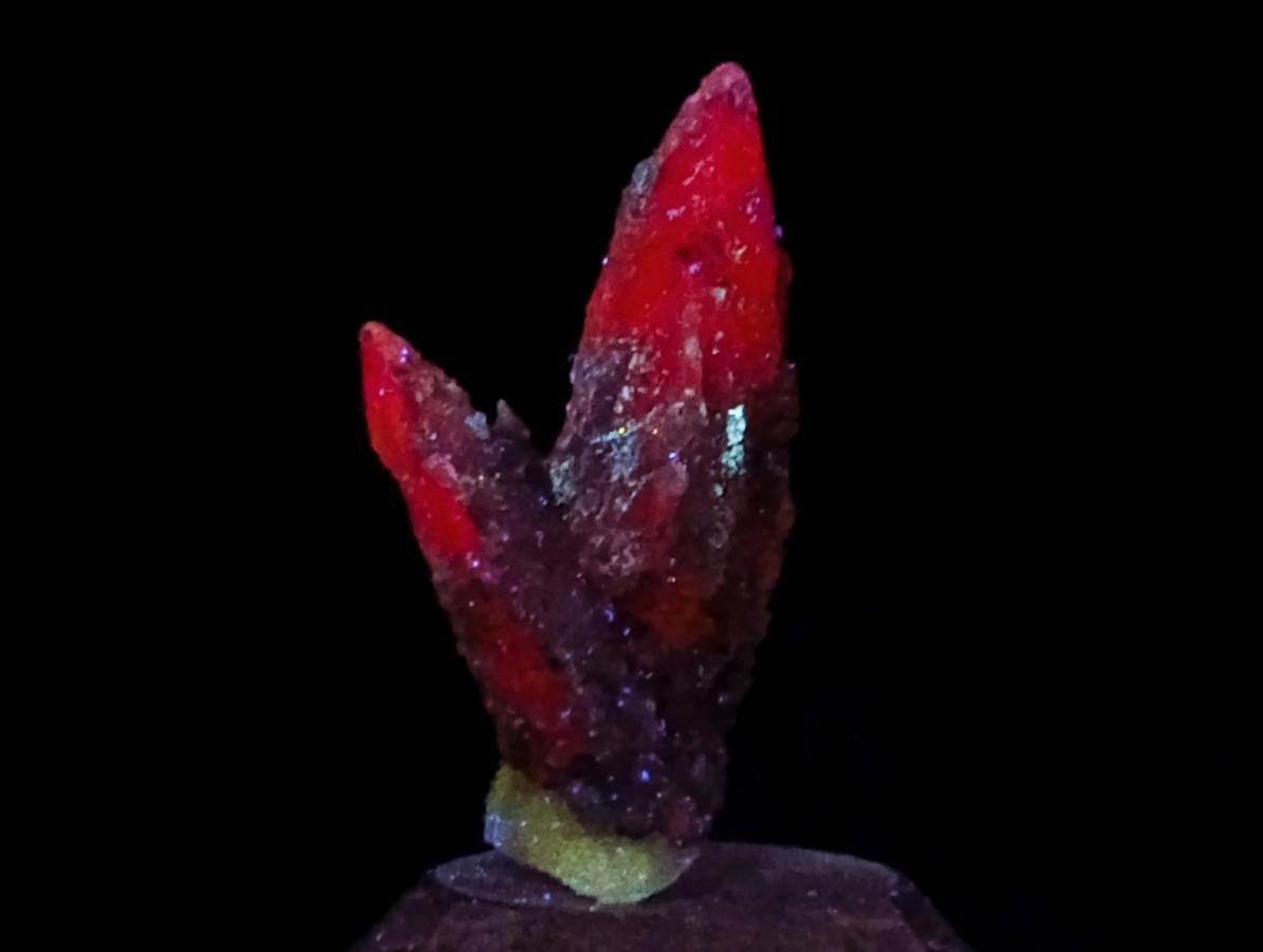Natural Drusy Quartz Coated Spearhead Calcite Crystals x 35 From Albert's Mountain, Lesotho - Toprock Gemstones and Minerals 