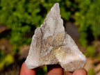Natural Drusy Quartz Coated Spearhead Calcite Crystals x 35 From Albert's Mountain, Lesotho - Toprock Gemstones and Minerals 