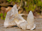 Natural Drusy Quartz Coated Spearhead Calcite Crystals x 35 From Albert's Mountain, Lesotho - Toprock Gemstones and Minerals 