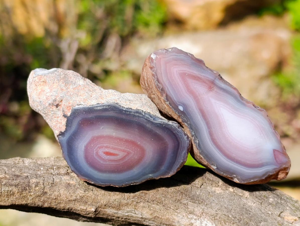 Polished One Side Red Shashe River Agate Nodules x 24 From Shashe River, Zimbabwe - Toprock Gemstones and Minerals 