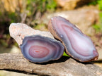 Polished One Side Red Shashe River Agate Nodules x 24 From Shashe River, Zimbabwe - Toprock Gemstones and Minerals 