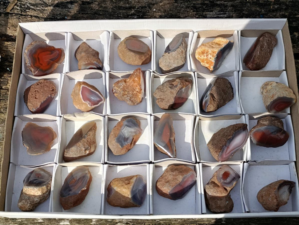 Polished One Side Red Shashe River Agate Nodules x 24 From Shashe River, Zimbabwe - Toprock Gemstones and Minerals 