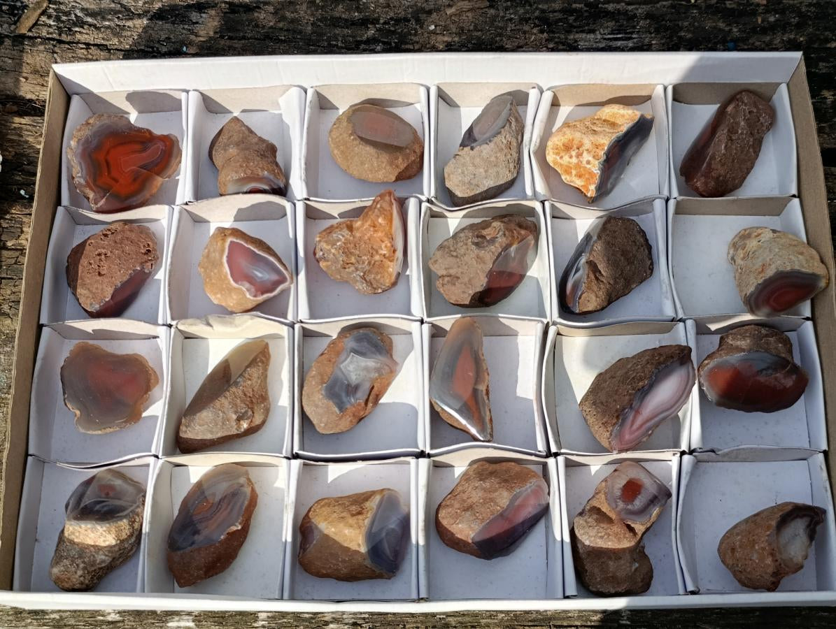 Polished One Side Red Shashe River Agate Nodules x 24 From Shashe River, Zimbabwe - Toprock Gemstones and Minerals 