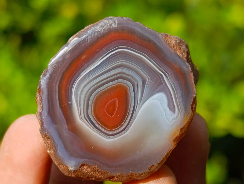 Polished One Side Red Shashe River Agate Nodules x 24 From Shashe River, Zimbabwe - Toprock Gemstones and Minerals 