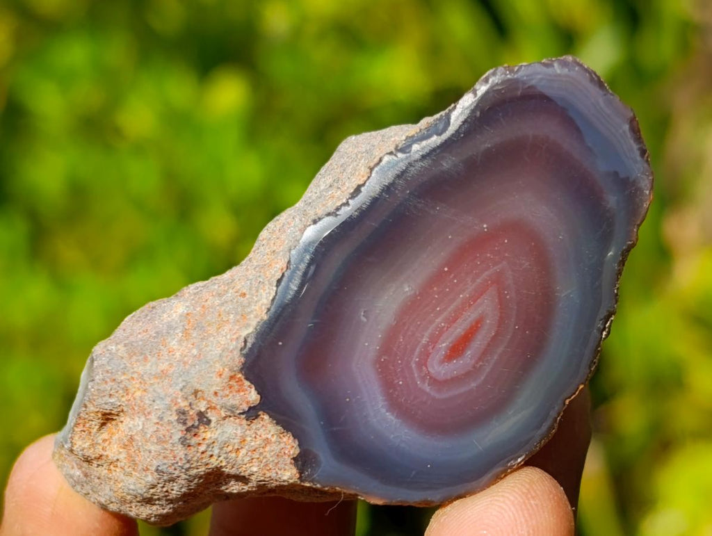 Polished One Side Red Shashe River Agate Nodules x 24 From Shashe River, Zimbabwe - Toprock Gemstones and Minerals 