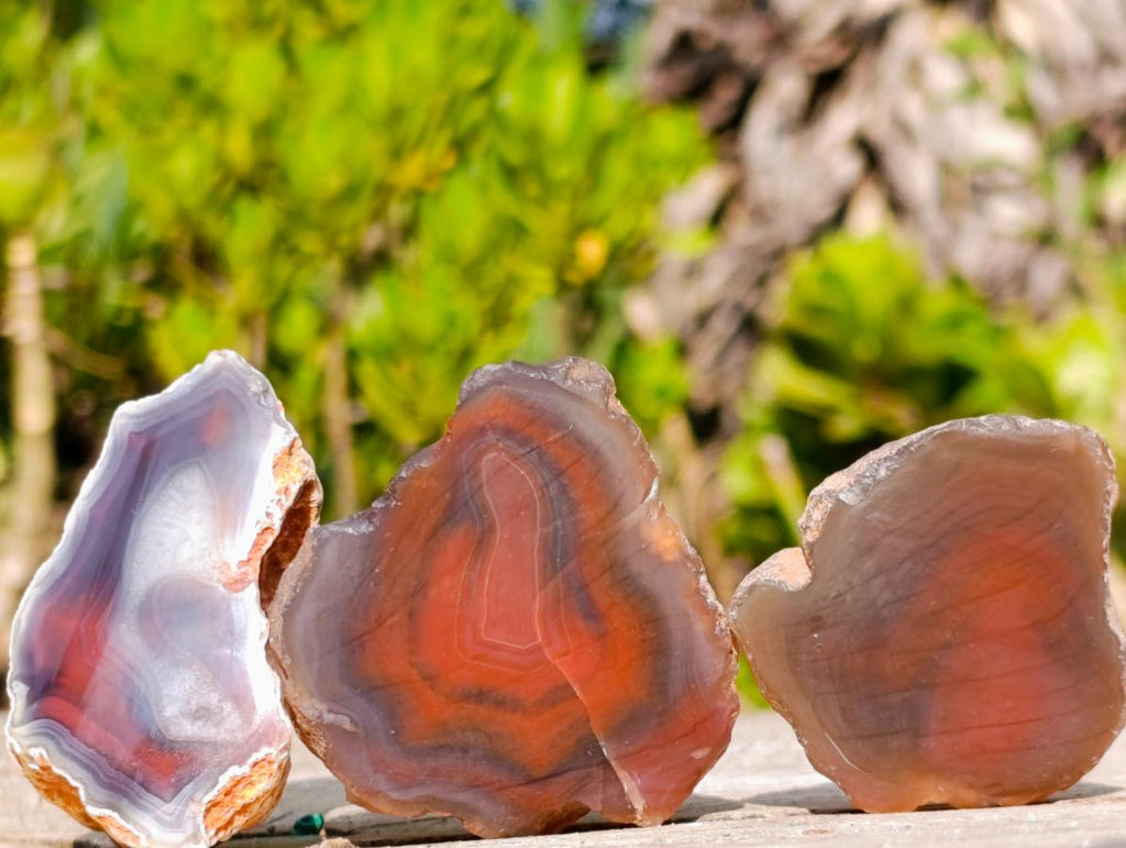 Polished One Side Red Shashe River Agate Nodules x 24 From Shashe River, Zimbabwe - Toprock Gemstones and Minerals 