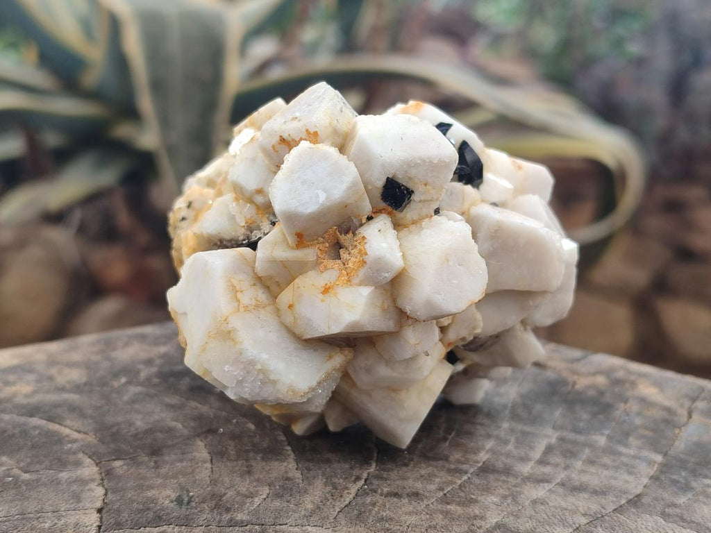 Natural Aegirine and Orthoclase Clusters x 4 From Zomba, Malawi - Toprock Gemstones and Minerals 
