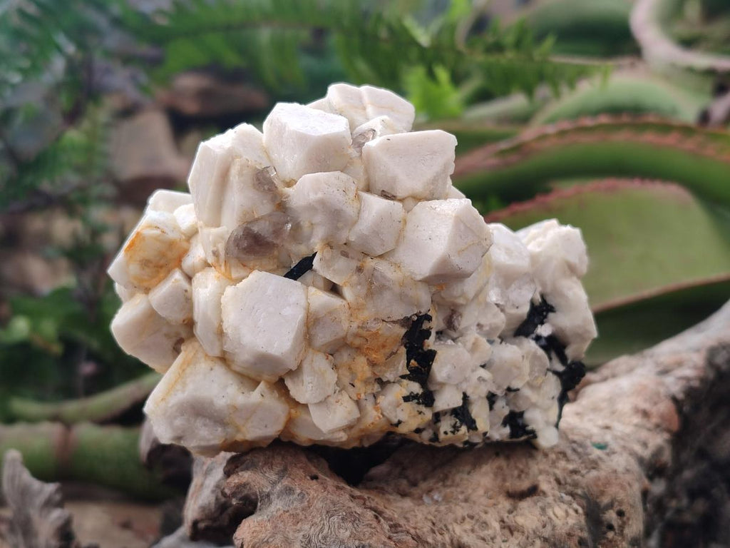 Natural Aegirine and Orthoclase Clusters x 4 From Zomba, Malawi - Toprock Gemstones and Minerals 
