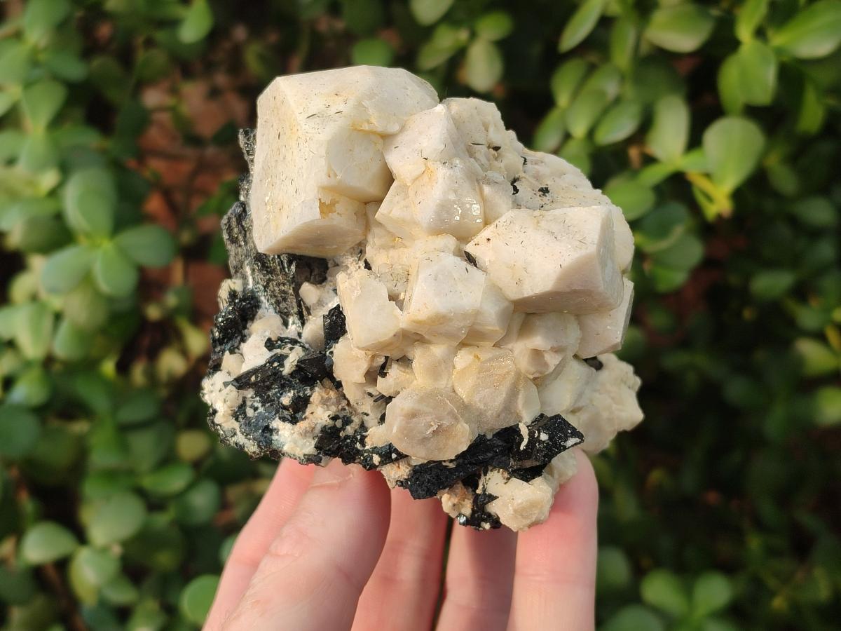 Natural Aegirine and Orthoclase Clusters x 4 From Zomba, Malawi - Toprock Gemstones and Minerals 