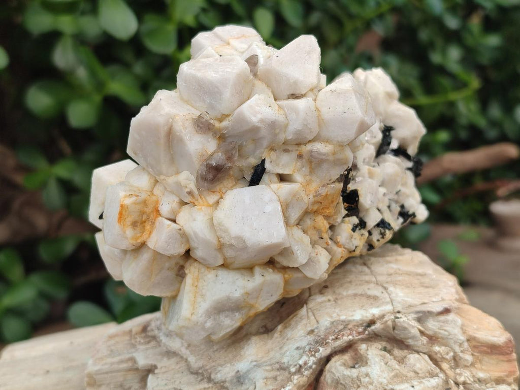 Natural Aegirine and Orthoclase Clusters x 4 From Zomba, Malawi - Toprock Gemstones and Minerals 