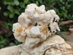 Natural Aegirine and Orthoclase Clusters x 4 From Zomba, Malawi - Toprock Gemstones and Minerals 