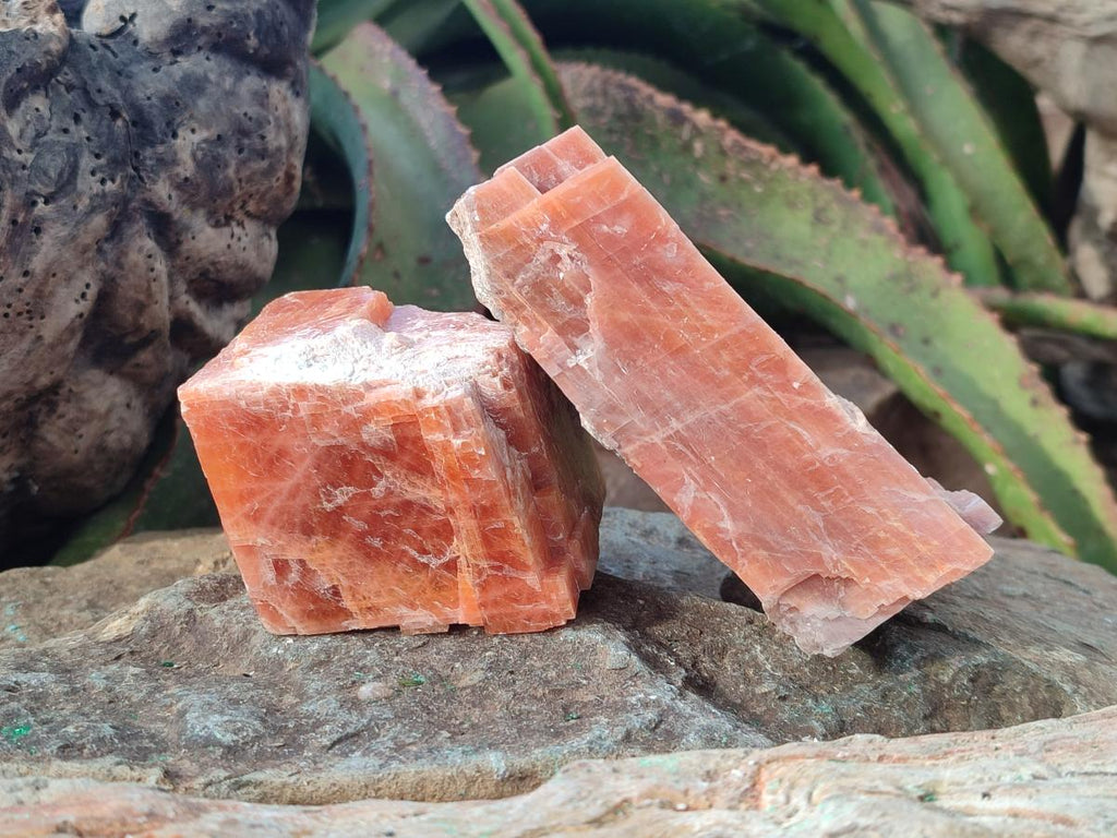 Natural Rhombohedral Sunset Orange Calcite Specimens x 6 From Spitzkop, Namibia - Toprock Gemstones and Minerals 