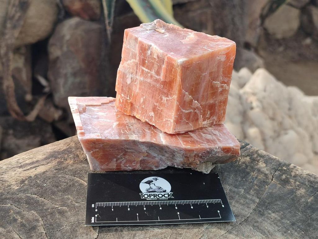 Natural Rhombohedral Sunset Orange Calcite Specimens x 6 From Spitzkop, Namibia - Toprock Gemstones and Minerals 