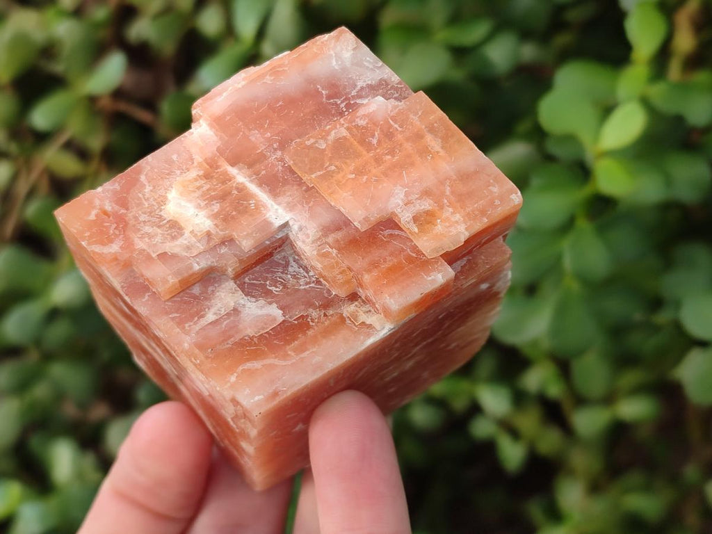 Natural Rhombohedral Sunset Orange Calcite Specimens x 6 From Spitzkop, Namibia - Toprock Gemstones and Minerals 