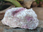 Natural Pink Rubellite Tourmaline Specimens x 3 From Karibib, Namibia - Toprock Gemstones and Minerals 