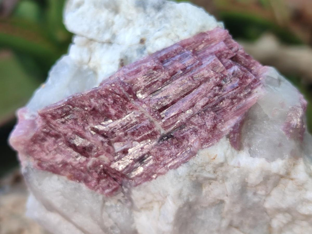 Natural Pink Rubellite Tourmaline Specimens x 3 From Karibib, Namibia - Toprock Gemstones and Minerals 