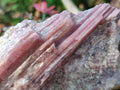 Natural Pink Rubellite Tourmaline Specimens x 3 From Karibib, Namibia - Toprock Gemstones and Minerals 
