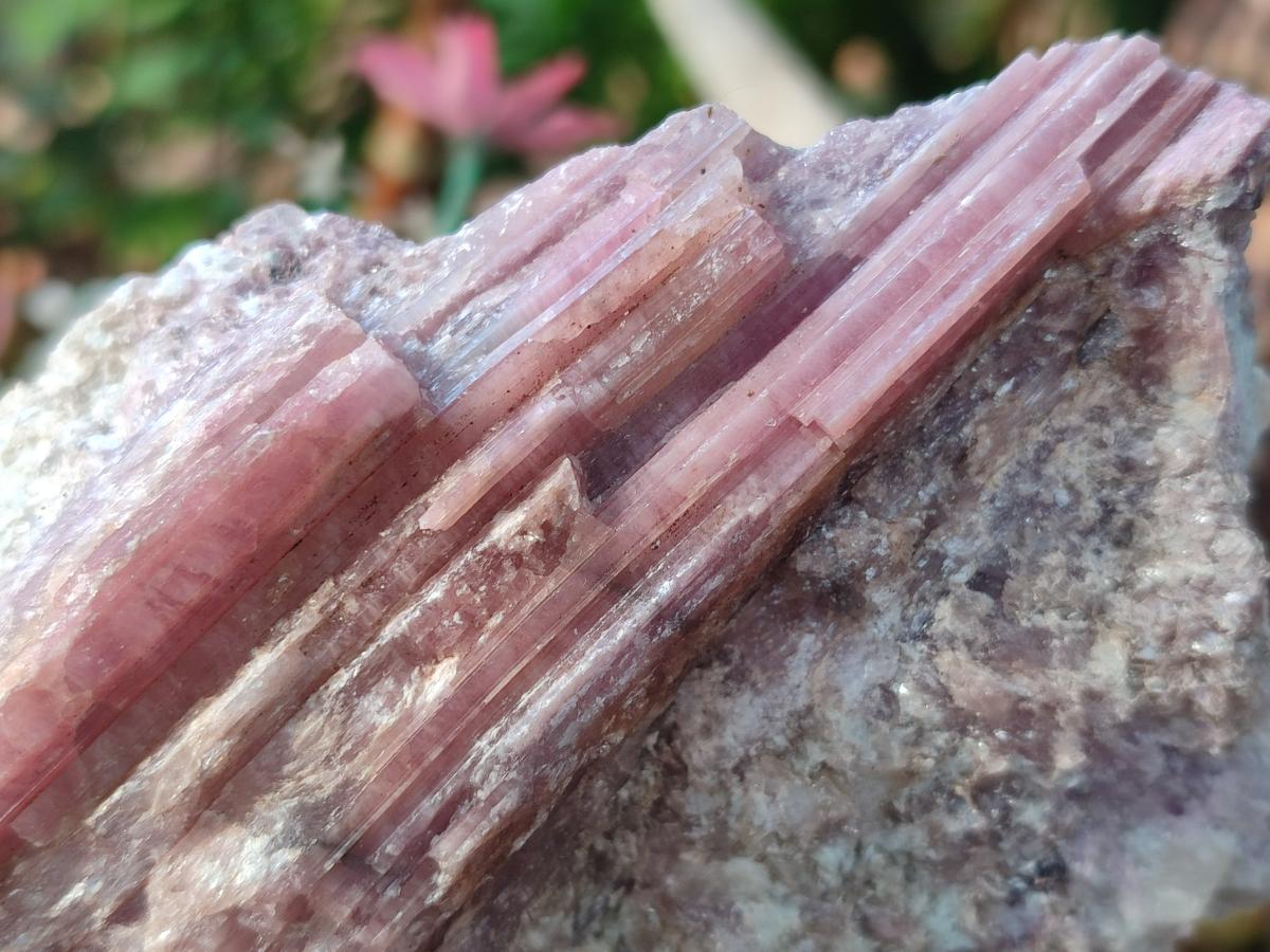 Natural Pink Rubellite Tourmaline Specimens x 3 From Karibib, Namibia