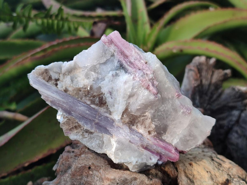 Natural Pink Rubellite Tourmaline Specimens x 3 From Karibib, Namibia - Toprock Gemstones and Minerals 