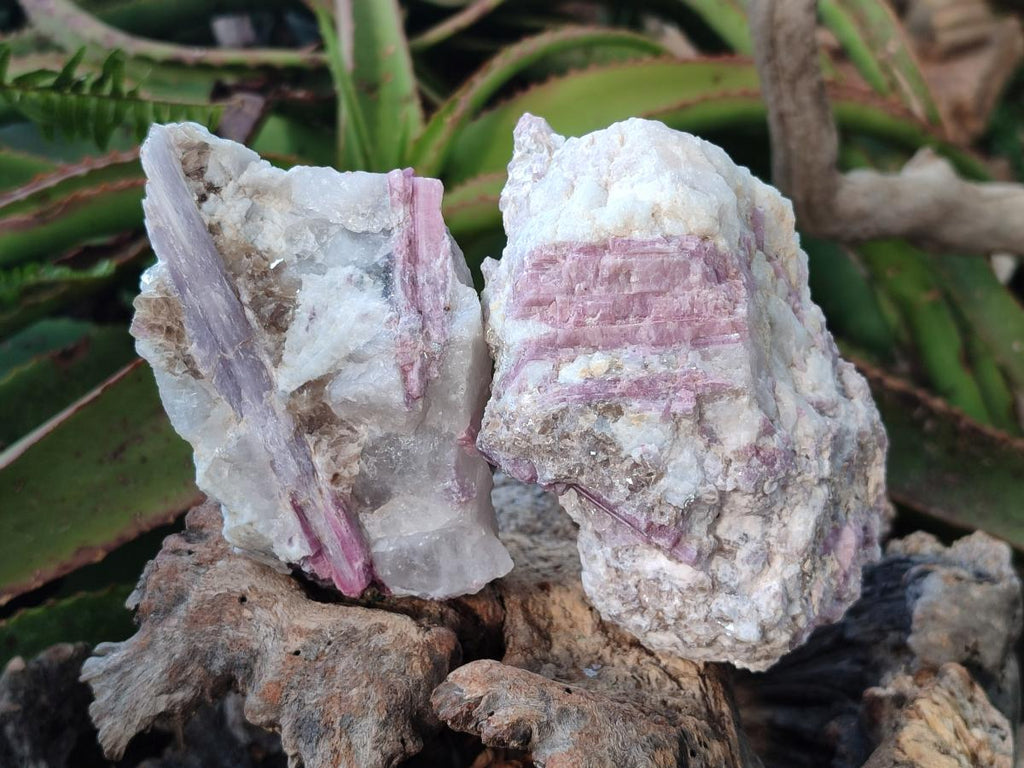 Natural Pink Rubellite Tourmaline Specimens x 3 From Karibib, Namibia - Toprock Gemstones and Minerals 