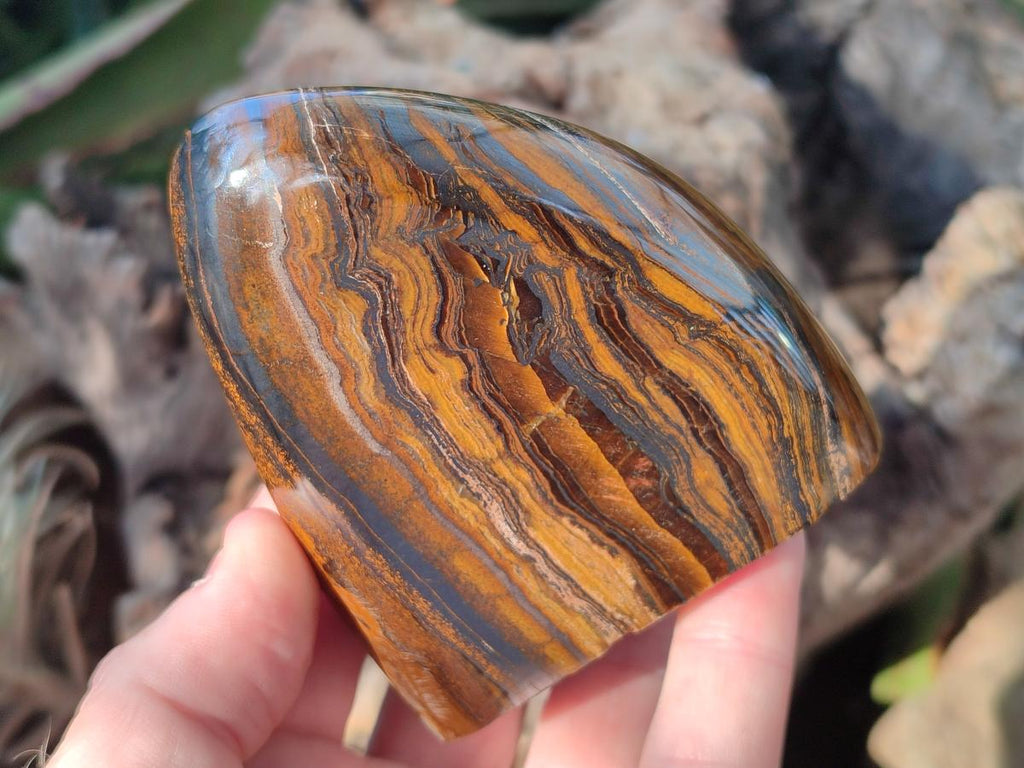 Polished Banded Tiger Iron Standing Display Pieces x 2 From South Africa - Toprock Gemstones and Minerals 