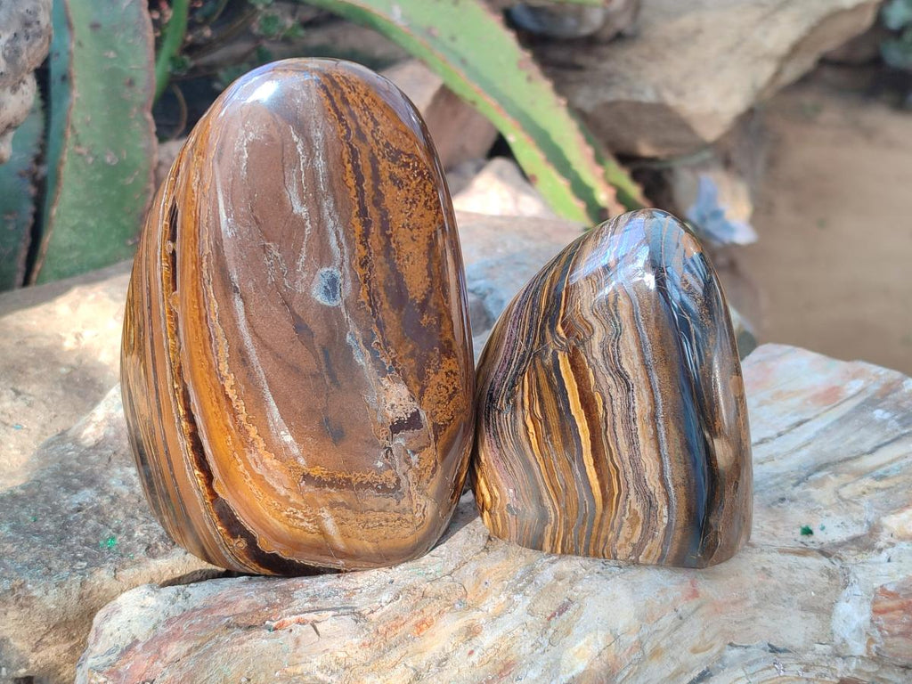 Polished Banded Tiger Iron Standing Display Pieces x 2 From South Africa - Toprock Gemstones and Minerals 