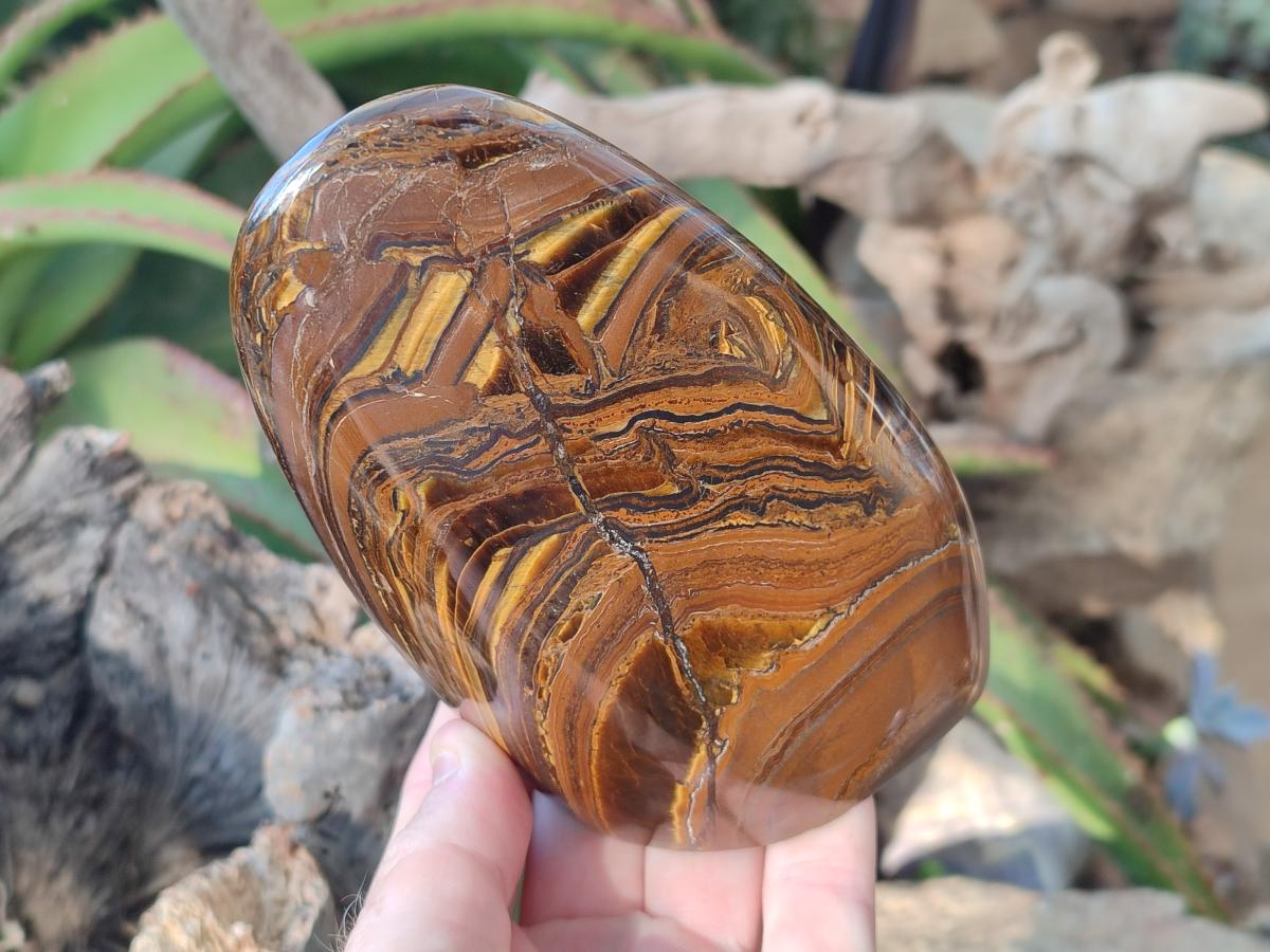 Polished Banded Tiger Iron Standing Display Pieces x 2 From South Africa - Toprock Gemstones and Minerals 