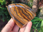 Polished Banded Tiger Iron Standing Display Pieces x 2 From South Africa - Toprock Gemstones and Minerals 