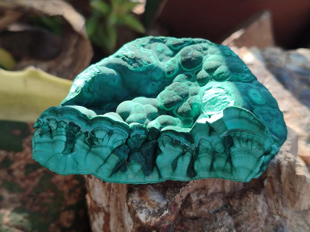 Natural Botryoidal Malachite Specimens x 6 From Congo - Toprock Gemstones and Minerals 