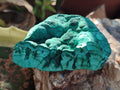 Natural Botryoidal Malachite Specimens x 6 From Congo - Toprock Gemstones and Minerals 