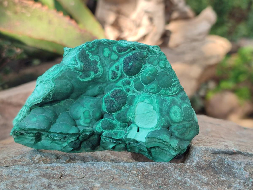 Natural Botryoidal Malachite Specimens x 6 From Congo - Toprock Gemstones and Minerals 