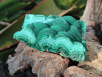 Natural Botryoidal Malachite Specimens x 6 From Congo - Toprock Gemstones and Minerals 