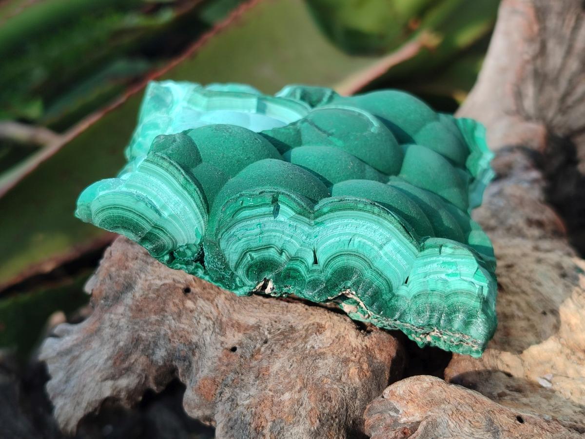 Natural Botryoidal Malachite Specimens x 6 From Congo - Toprock Gemstones and Minerals 