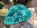 Natural Botryoidal Malachite Specimens x 6 From Congo - Toprock Gemstones and Minerals 