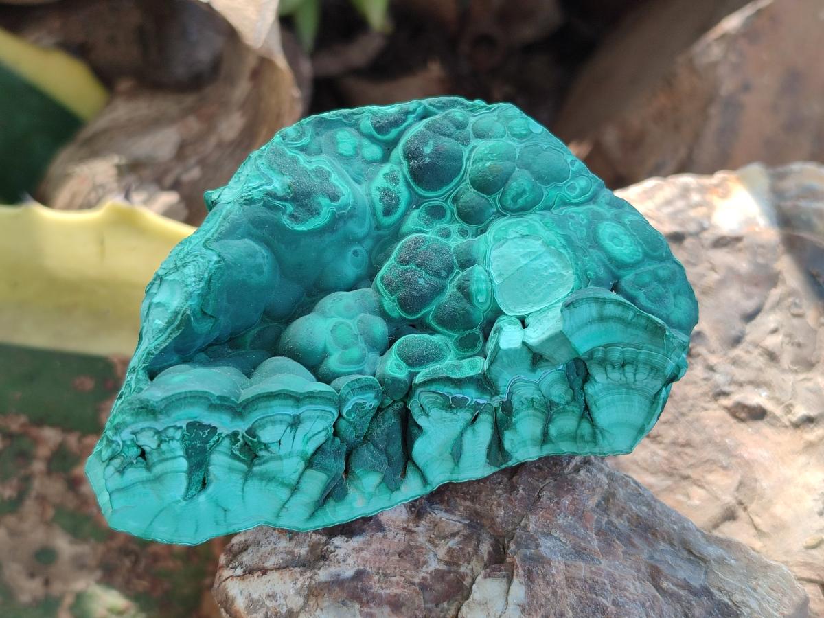 Natural Botryoidal Malachite Specimens x 6 From Congo - Toprock Gemstones and Minerals 