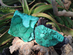 Natural Botryoidal Malachite Specimens x 6 From Congo - Toprock Gemstones and Minerals 