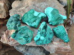 Natural Botryoidal Malachite Specimens x 6 From Congo - Toprock Gemstones and Minerals 