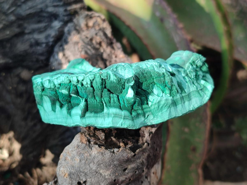 Natural Botryoidal Malachite Specimens x 6 From Congo - Toprock Gemstones and Minerals 