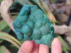 Natural Botryoidal Malachite Specimens x 6 From Congo - Toprock Gemstones and Minerals 