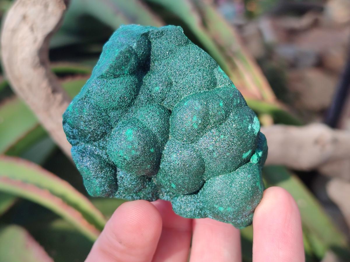 Natural Botryoidal Malachite Specimens x 6 From Congo - Toprock Gemstones and Minerals 