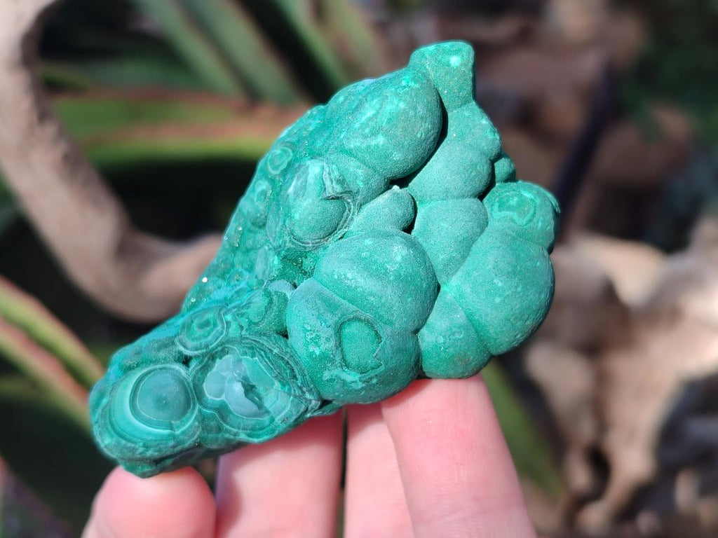 Natural Botryoidal Malachite Specimens x 6 From Congo - Toprock Gemstones and Minerals 
