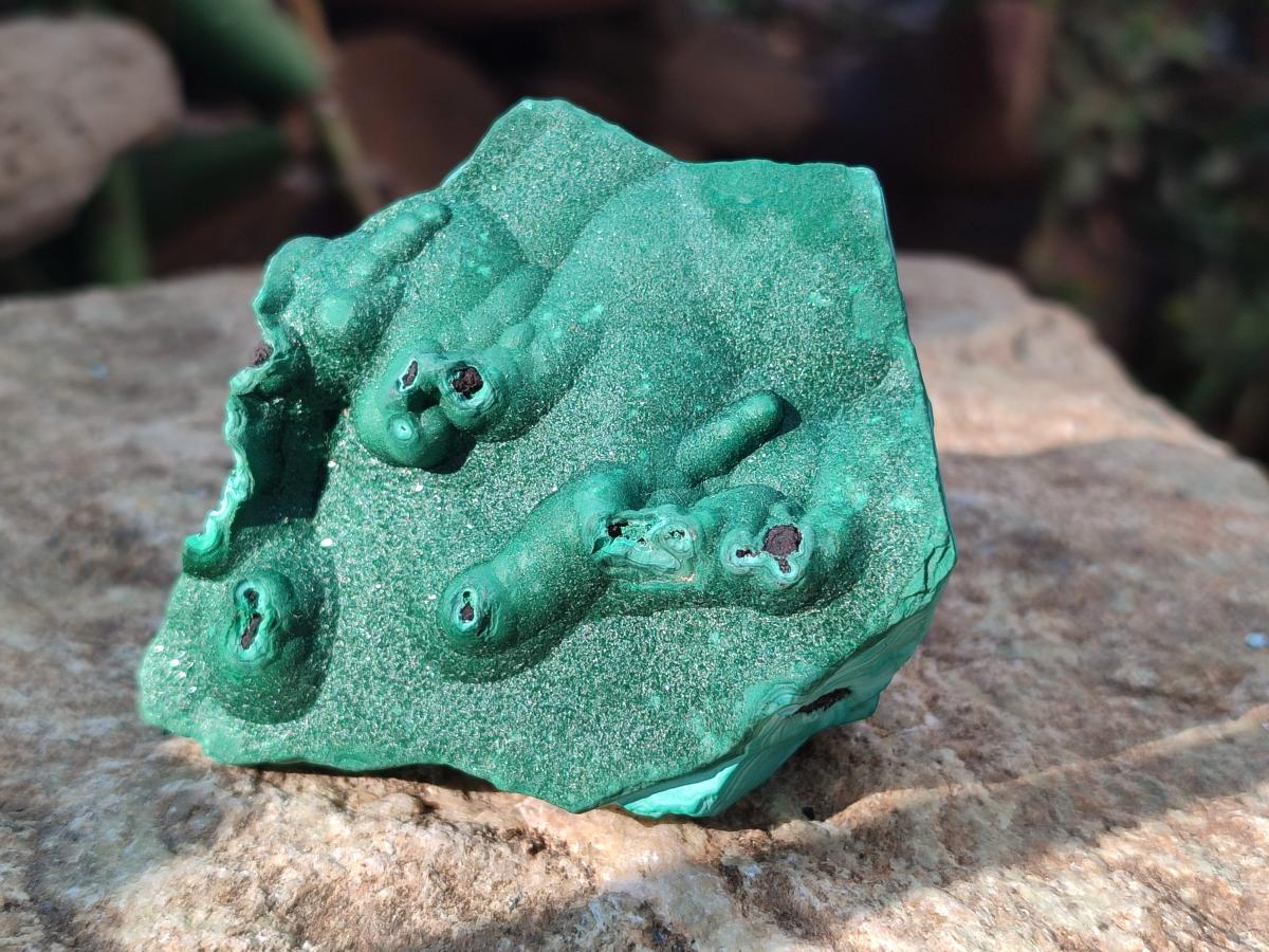 Natural Botryoidal Malachite Specimens x 6 From Congo - Toprock Gemstones and Minerals 
