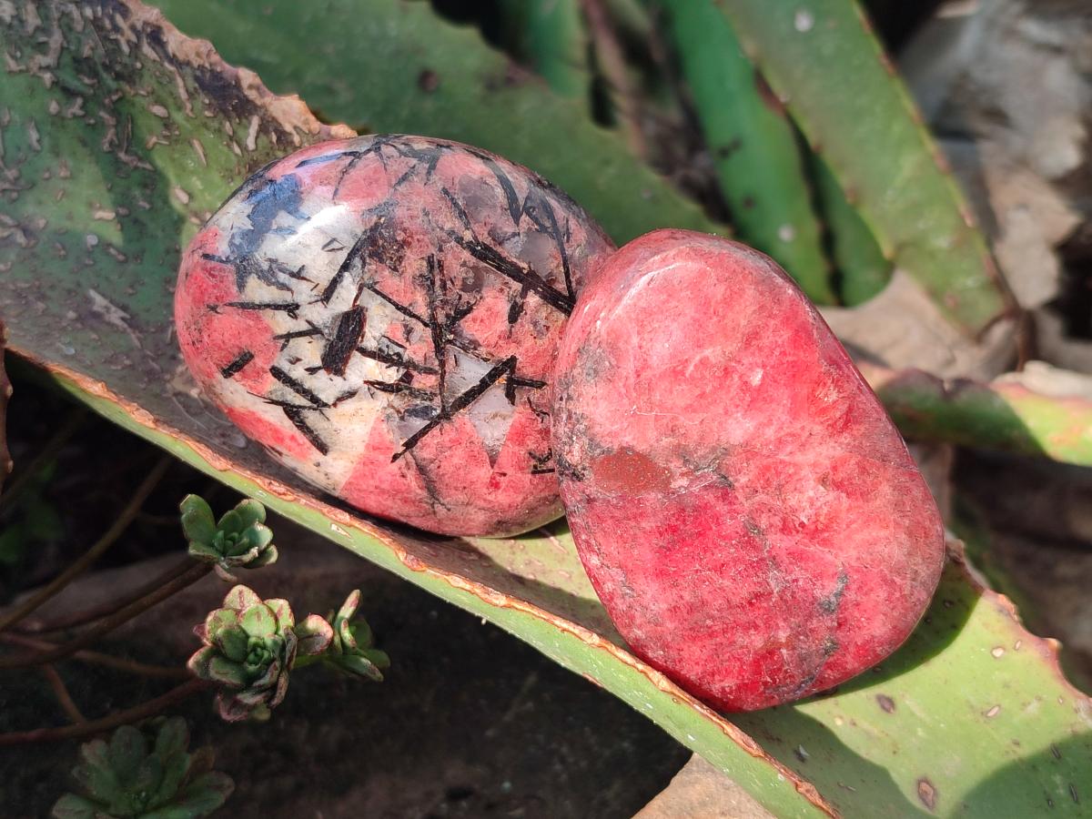 Polished Rhodonite Free Forms x 6 From Rhusinga, Zimbabwe - Toprock Gemstones and Minerals 